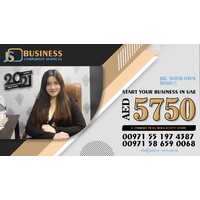 Business Set Up in Dubai logo - Similar company to Btw Services