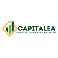 Capitalea logo - Similar company to Cryptoveritas 360
