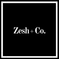 Zesh + Co. logo - Similar company to Bini