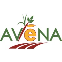 Avena logo - Similar company to Avena Bio