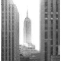 Visible Grain Photography