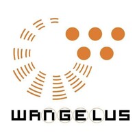 Wangelus logo - Similar company to Next Building Engenharia & Construção Civil