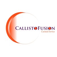 CALLISTOFUSION logo - Similar company to The Bharat Groups