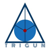 Trigun Advisory Services