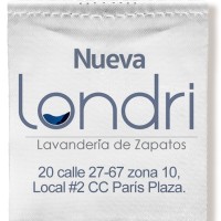 Londri Franchise logo - Similar company to Digital Discovery Llc