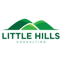 Little Hills Consulting GmbH logo - Similar company to Moj Freelancer
