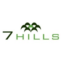 7 Hills Holding logo - Similar company to 7Hills