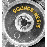 Soundkinesis Studio logo - Similar company to Nikitova Llc