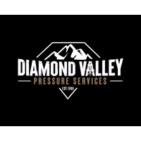 DIAMOND VALLEY PRESSURE SERVICES logo - Similar company to Terroco Group