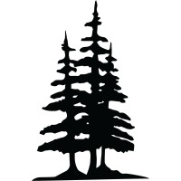 Sandy Pine logo - Similar company to High Plains Construction Services