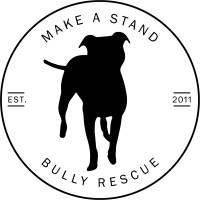 Make A Stand Bully Rescue logo - Similar company to Rios Mediaworks