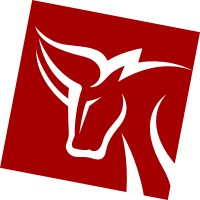 Broker-Dealer Company Momentum Securities Ad Novi Sad