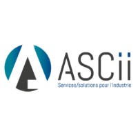 ASCII logo - Similar company to Amc87