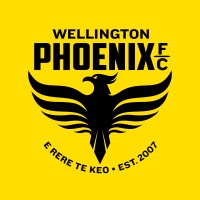 Wellington Phoenix Football Club logo - Similar company to Hurricanes