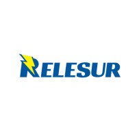 Relesur oficial logo - Similar company to Vainilla Lab