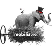 Mobilis Pro logo - Similar company to Mediartis
