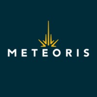 Meteoris | Create lasting impact logo - Similar company to Virtus Medium