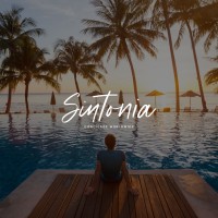 Sintonia logo - Similar company to Tci Network