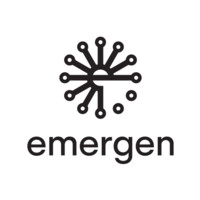 Fundacja Rozwoju Medycyny Cybernetycznej EMERGEN logo - Similar company to Neurosphera Epilepsy Unit