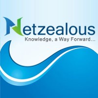 Netzealous logo - Similar company to Clothify