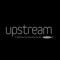 Upstream - Il salmone di Claudio Cerati logo - Similar company to Le Sas Srl