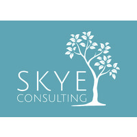 Skye Consulting logo - Similar company to Gen7 Engineering, Llc