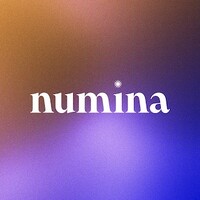Numina™ logo - Similar company to Foxonox