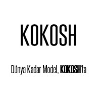 KOKOSH logo - Similar company to Kokosh Studio