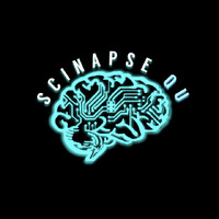 SciNapse Queen's University logo - Similar company to Scinapse.Ai