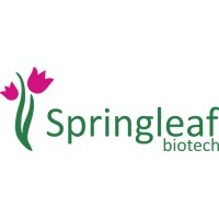 Springleaf Biotech logo - Similar company to Vericlone Tissue Technology
