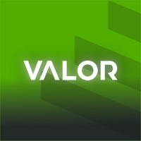 VALOR logo - Similar company to Vários Sabores, S.A.
