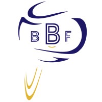 Bounce Big Foundation logo - Similar company to Tangelo Tree Consulting
