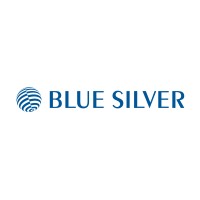BLUE SILVER GmbH | 3D Animations | TV | VR logo - Similar company to Mld Digits Gmbh