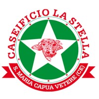 Caseificio La Stella S.r.l. logo - Similar company to Waab - Software Development