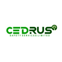 Cedrus Safety Services Limited logo - Similar company to Kostbarng