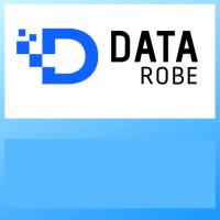 Data Robe Infotech Private Limited logo - Similar company to Data Insights Partner Cs