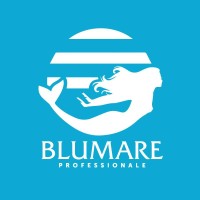 Blumare Pro
