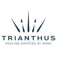 Trianthus Research Group logo - Similar company to Arrow Analytics, Inc.