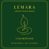 LEMARA logo - Similar company to Ellix