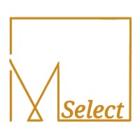 Mselect logo - Similar company to M-Select