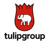 Tulip Apparels LLC logo - Similar company to Vibe Coding News