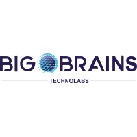 BIG BRAINS TECHNOLABS logo - Similar company to Bluebatch