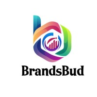 Brandsbud Branding Solutions ( A unit of Shri Bhagwan Traders Pvt Ltd) logo - Similar company to Pappi Chulo Pvt. Ltd.