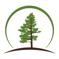 Loblolly Solutions logo - Similar company to Enhance Advisory Pllc