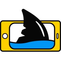 Shark Develop logo - Similar company to Tech Wish • ტექ ვიშ