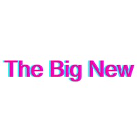 The Big New logo - Similar company to Dzineelements