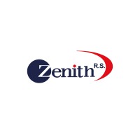 Zenith RSM logo - Similar company to Kamtec