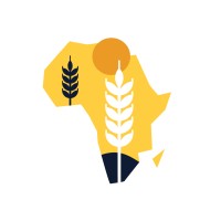 REFFECT AFRICA logo - Similar company to Swarm-E Project