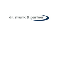 dr. strunk & partner - Personal- & Unternehmensberatung logo - Similar company to Consulting Bridge