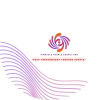 Pinnacle People Consulting logo - Similar company to Pinnacle Site Solutions